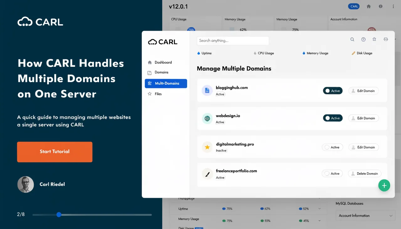 How CARL Handles Multiple Domains on One Server