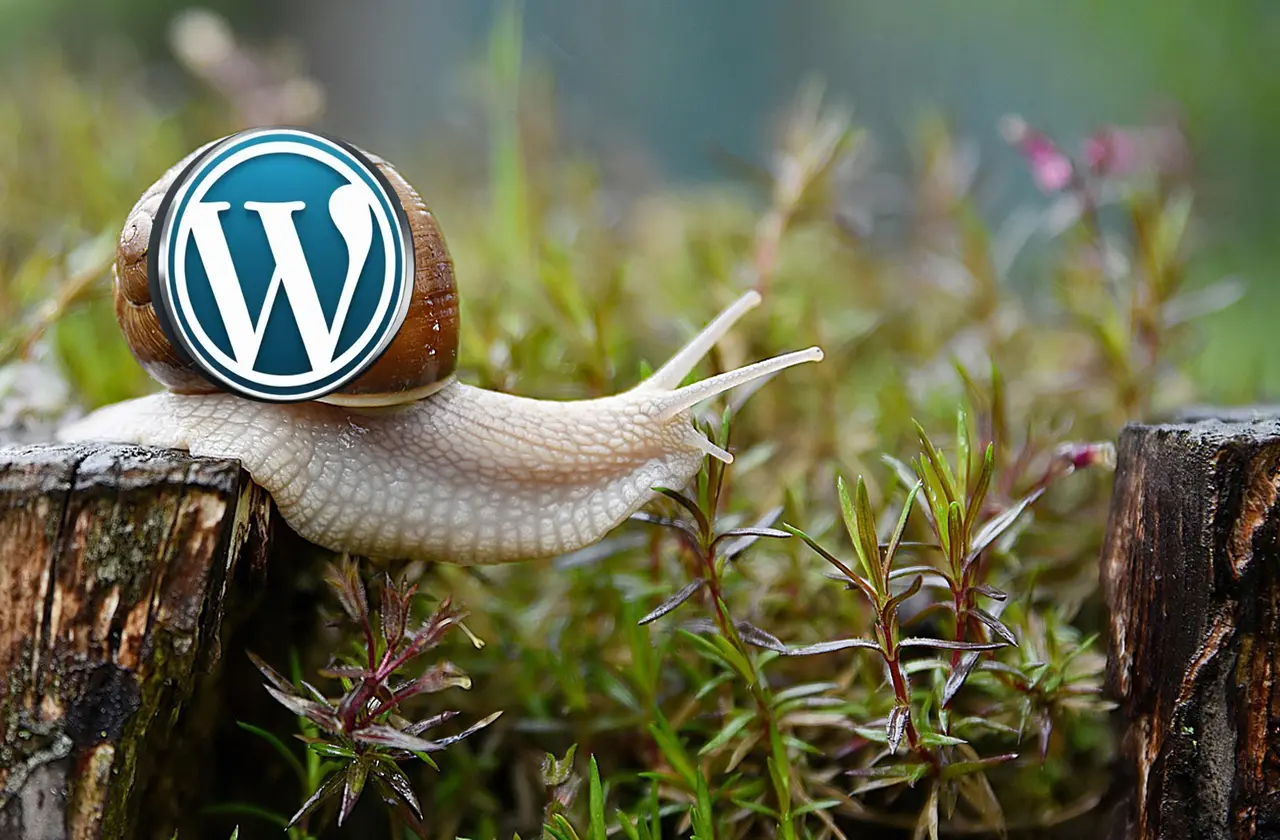 wordpress is too slow